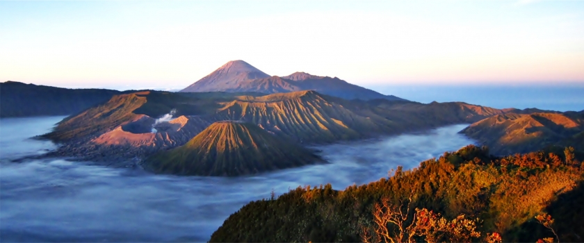 bromo