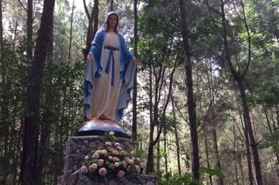 Beji Antaboga, Hutan Keberagaman Agama di Banyuwangi