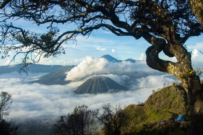 Open Trip Bromo Start Surabaya