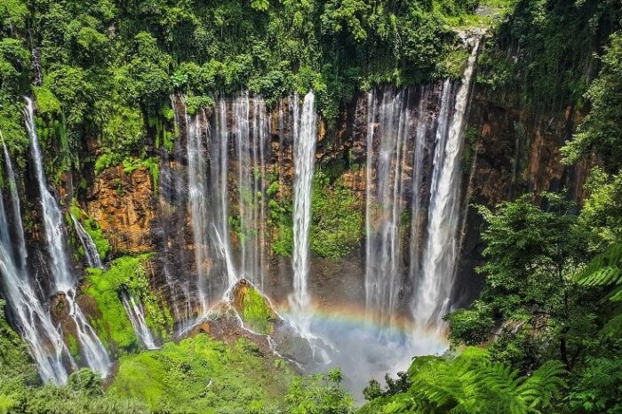 Open Trip Tumpak Sewu