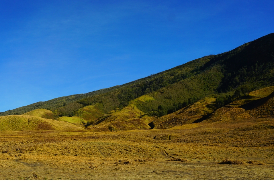 Destinasi Wisata Bromo yang Wajib Dikunjungi, Indah & Menawan!