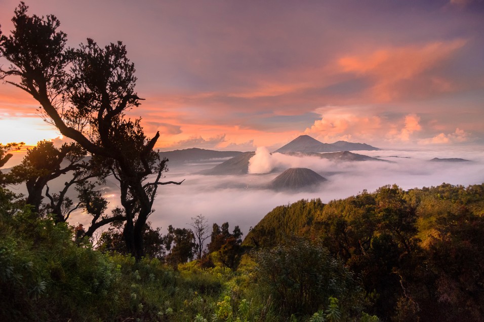 open trip Bromo