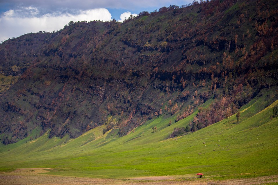 teletubbies hill bromo