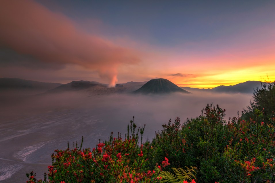 Tour Bromo