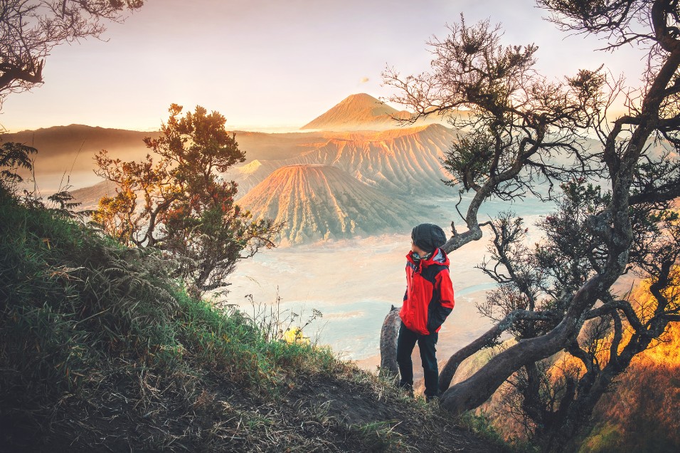 wisata alam Bromo